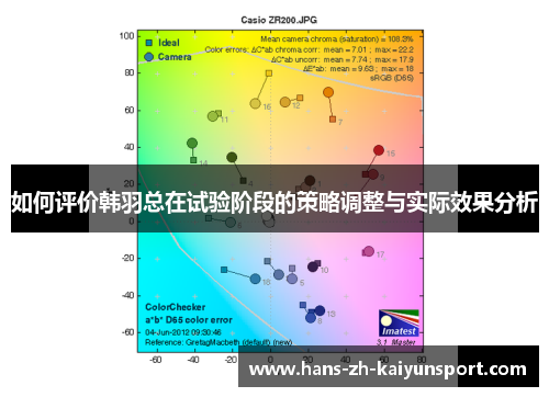 如何评价韩羽总在试验阶段的策略调整与实际效果分析