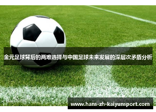 金元足球背后的两难选择与中国足球未来发展的深层次矛盾分析 金元足球背后的两难选择与中国足球未来发展的深层次矛盾分析